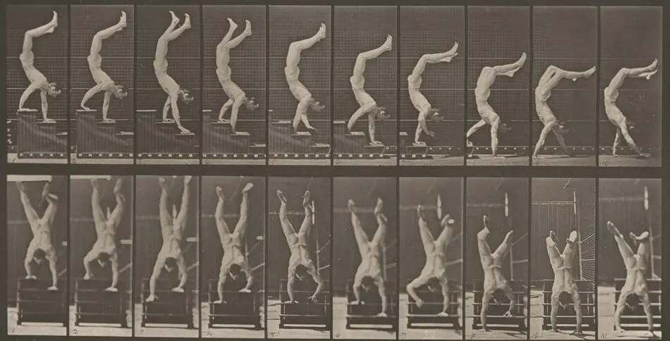Plate Number 368. Acrobat descending stairs on hands by Eadweard Muybridge