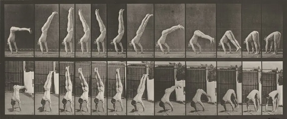 Plate Number 371. Acrobat, vertical "press up" by Eadweard Muybridge