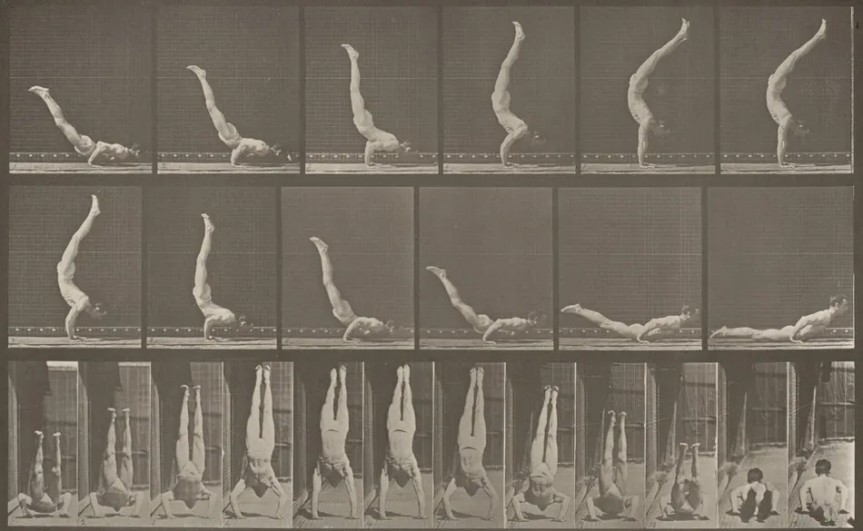 Plate Number 372. Acrobat, horizontal "press up" by Eadweard Muybridge