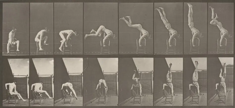 Plate Number 373. Acrobat, "press up" from chair by Eadweard Muybridge