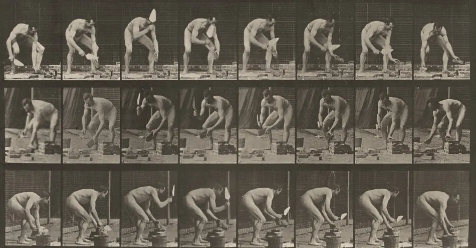 Plate Number 381. Mason, laying a brick by Eadweard Muybridge