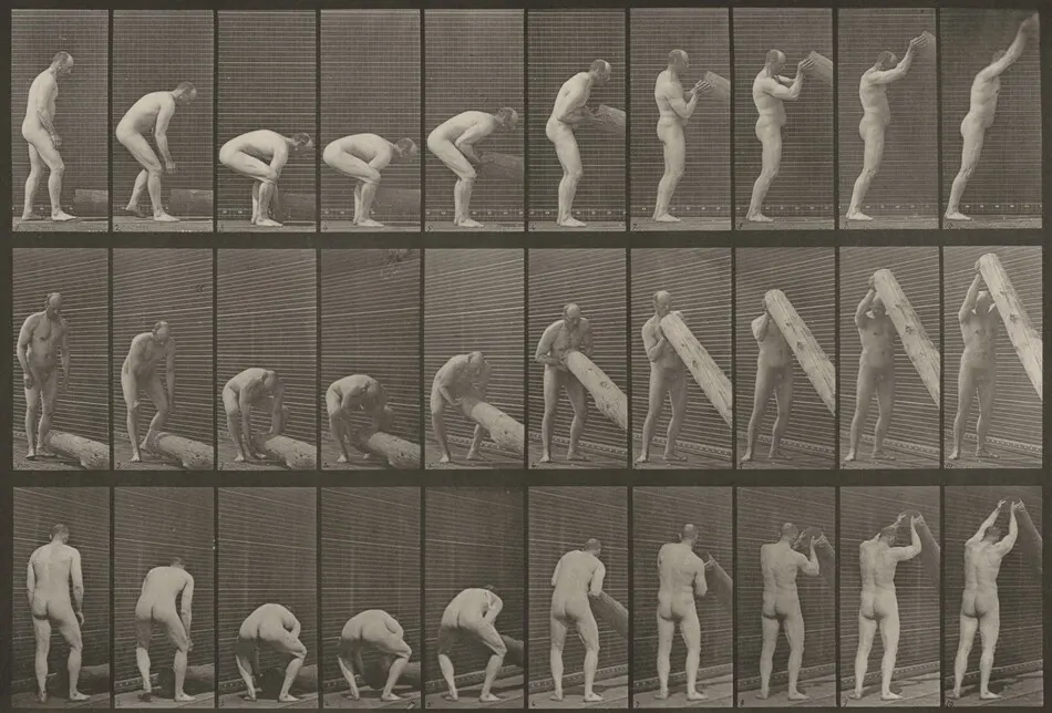 Plate Number 382. Lifting a log on end by Eadweard Muybridge