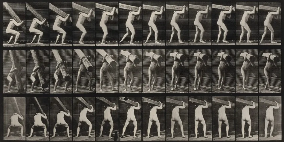 Plate Number 383. Lifting a log on shoulder by Eadweard Muybridge