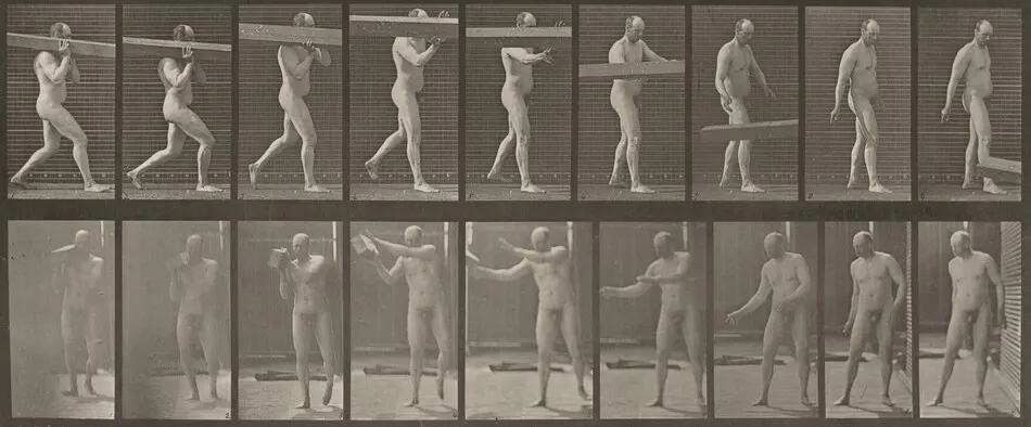 Plate Number 384. Heaving a log from shoulder by Eadweard Muybridge