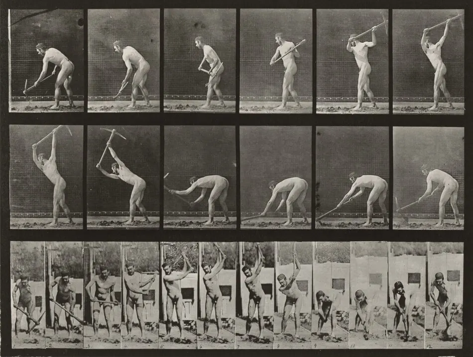 Plate Number 385. Farmer, using a pick by Eadweard Muybridge