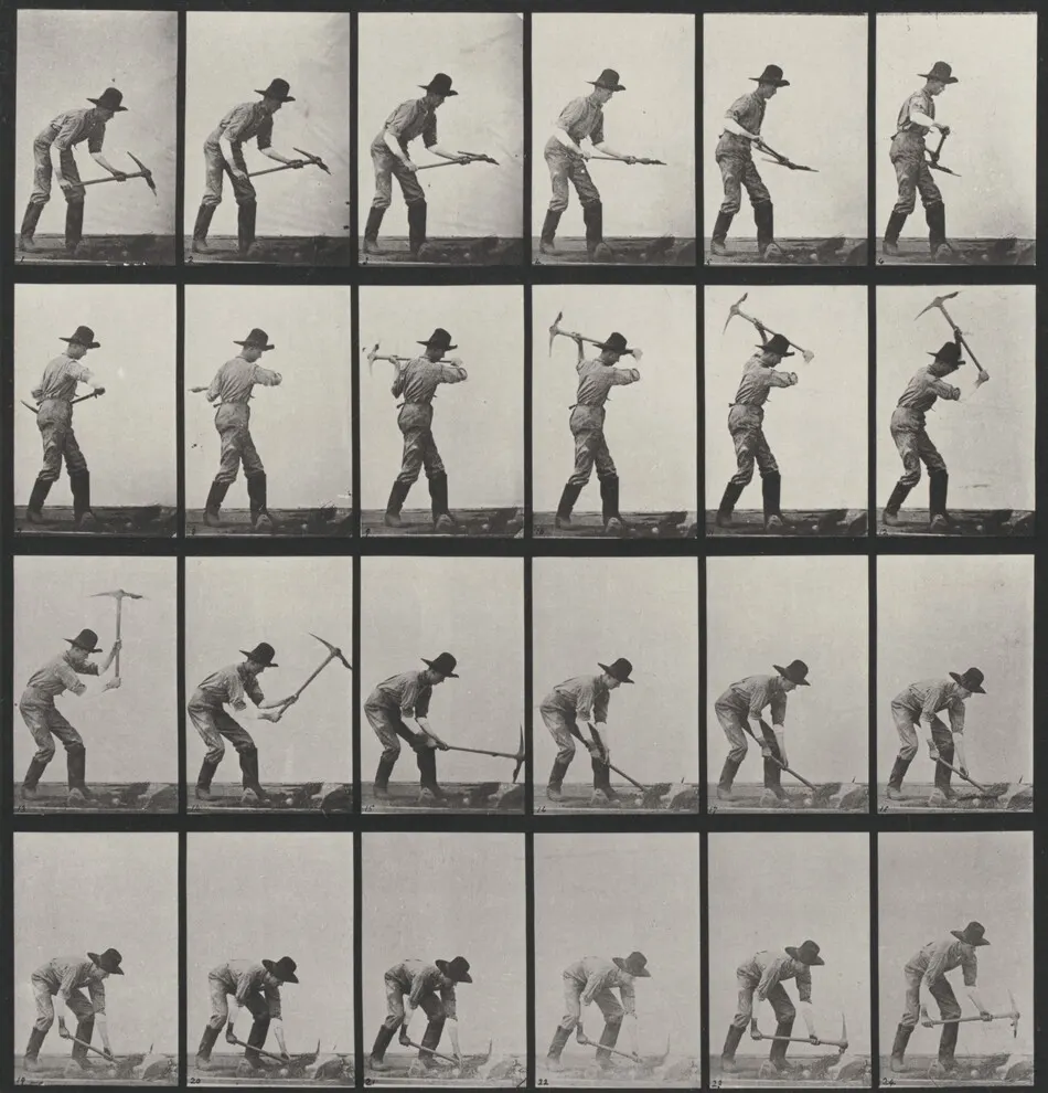 Plate Number 386. Miner, using a pick by Eadweard Muybridge
