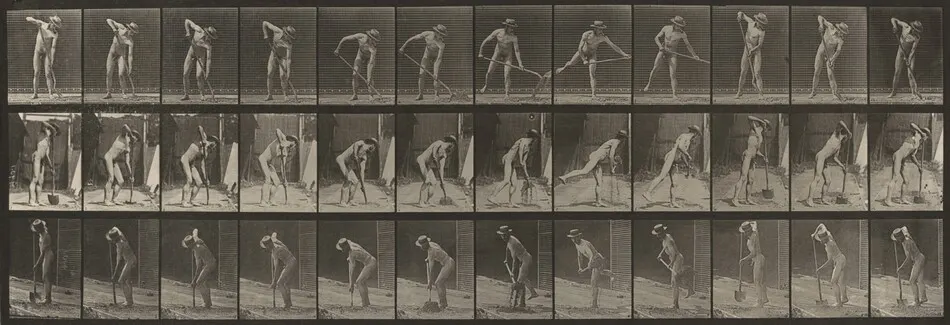 Plate Number 387. Farmer, using a long-handled shovel by Eadweard Muybridge