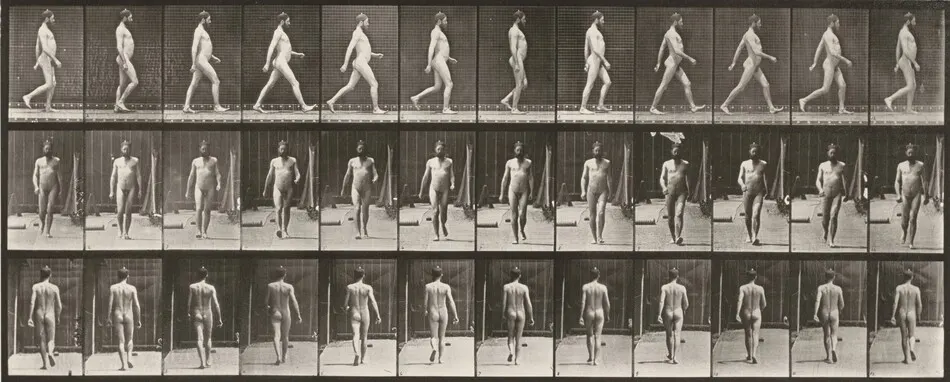 Plate Number 389. Farmer, scattering seed by Eadweard Muybridge