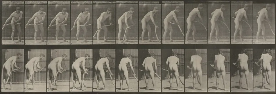 Plate Number 390. Farmer, mowing grass by Eadweard Muybridge