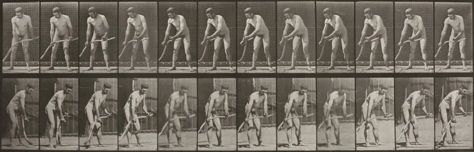 Plate Number 391. Farmer, mowing grass by Eadweard Muybridge