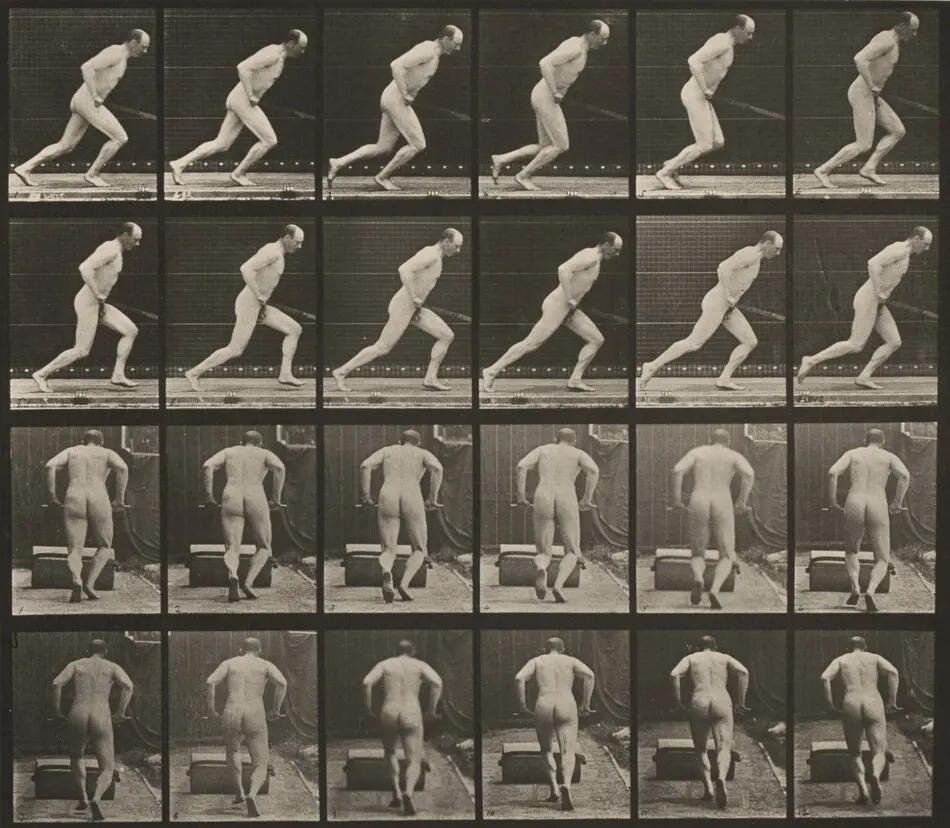 Plate Number 393.  Pushing a garden roller by Eadweard Muybridge