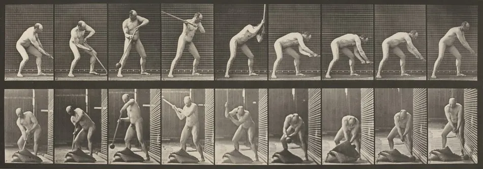 Plate Number 396. Pounding with a mallet by Eadweard Muybridge