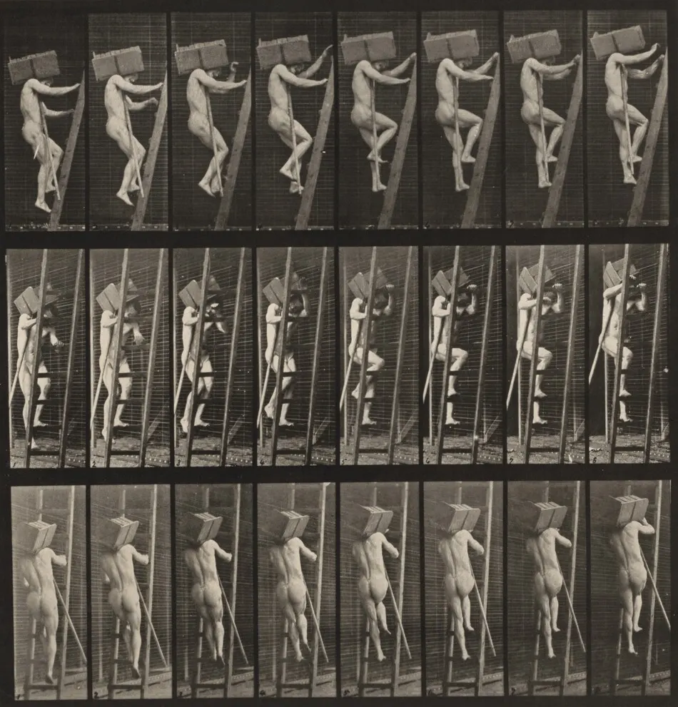 Plate Number 405. Carrying a hod of bricks up a ladder by Eadweard Muybridge