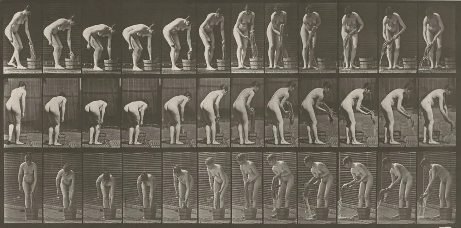 Plate Number 433. Wringing clothes by Eadweard Muybridge