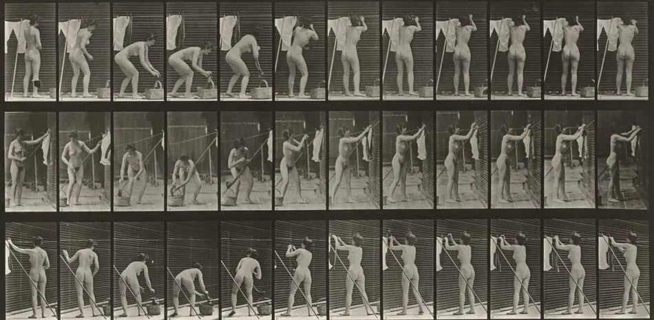 Plate Number 434. Hanging clothes on a line by Eadweard Muybridge