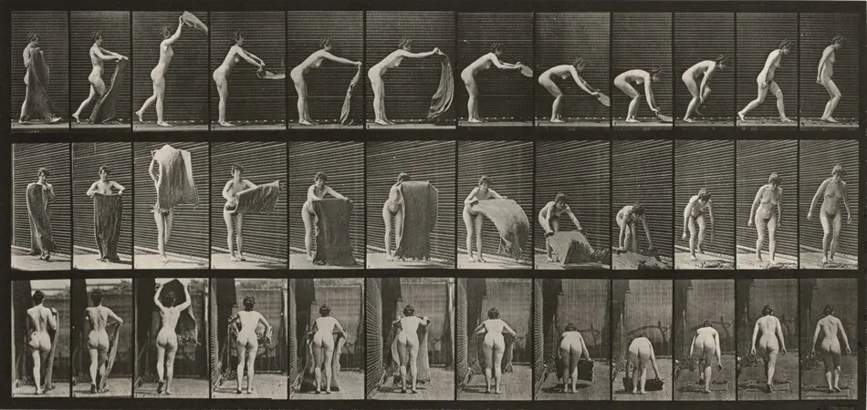 Plate Number 439. Spreading a rug on the floor by Eadweard Muybridge