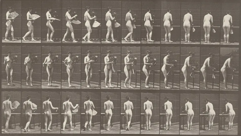 Plate Number 441. Carrying a vase and placing it on a table by Eadweard Muybridge