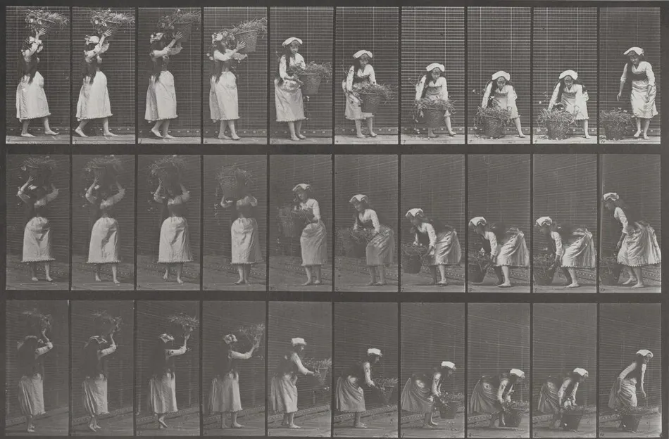 Plate Number 454. Taking a 12-lb. basket from head and placing it on the ground by Eadweard Muybridge