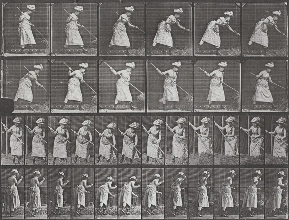 Plate Number 456. Raking hay by Eadweard Muybridge