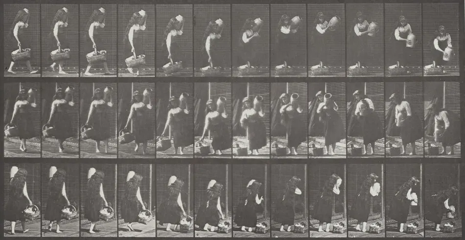Plate Number 460. Carrying a jar on shoulder and basket in hand and placing them on the ground by Eadweard Muybridge