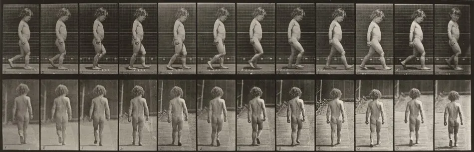 Plate Number 467. Child walking by Eadweard Muybridge