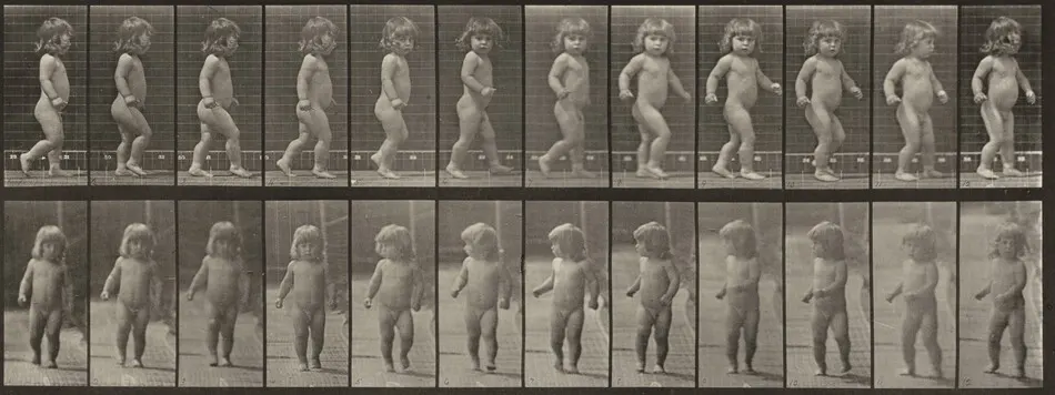 Plate Number 468. Child walking by Eadweard Muybridge