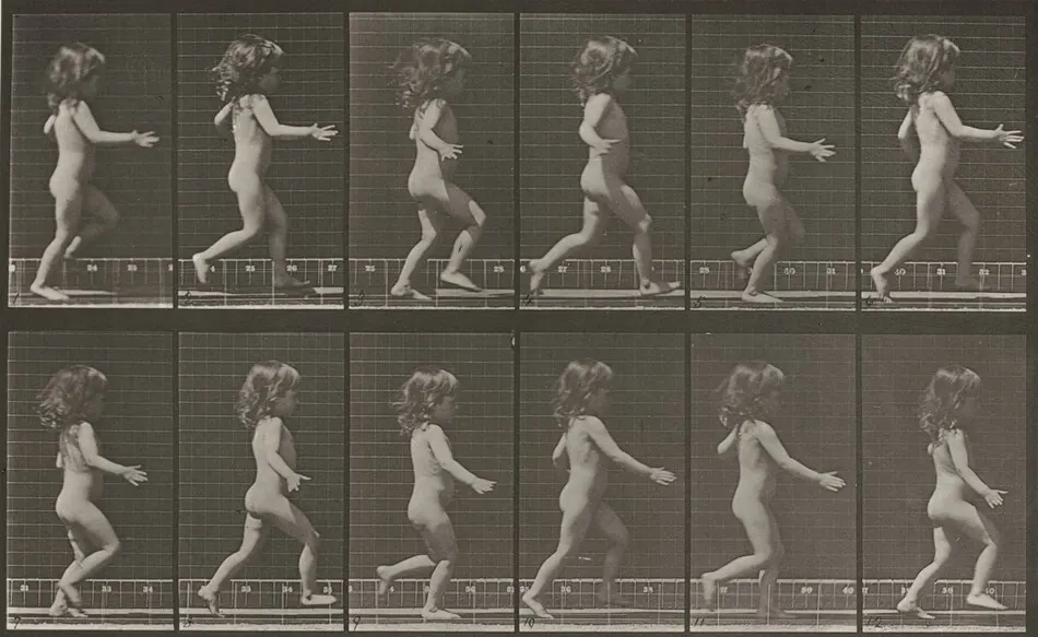 Plate Number 469. Child running by Eadweard Muybridge