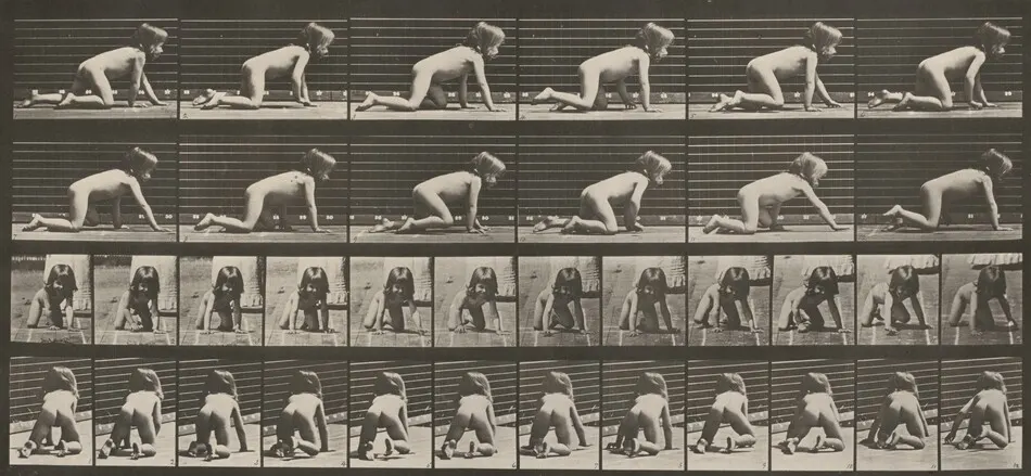 Plate Number 471. Child crawling on hands and knees by Eadweard Muybridge