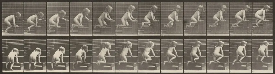 Plate Number 472. Child crawling up stairs by Eadweard Muybridge