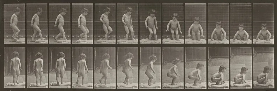 Plate Number 476. Child sitting down on the ground by Eadweard Muybridge