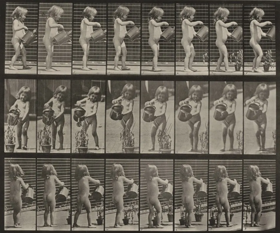 Plate Number 478. Child sprinkling water over some flowers by Eadweard Muybridge