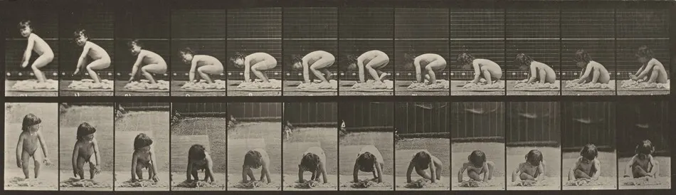 Plate Number 479. Child getting up from the ground by Eadweard Muybridge