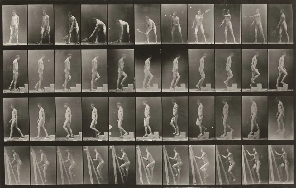 Plate Number 486. A: Lawn tennis. B: Ascending a step. C: Descending a step. D: Ascending a ladder by Eadweard Muybridge