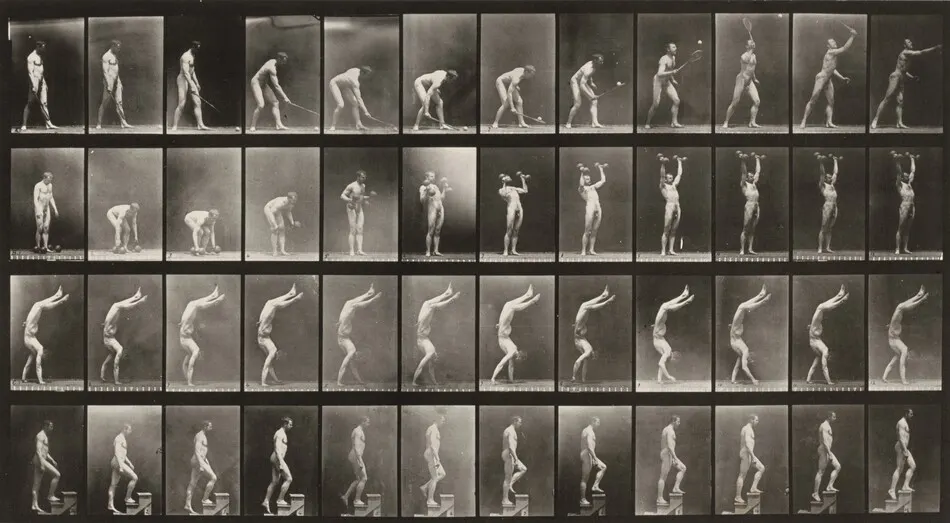 Plate Number 488. A: Lawn tennis. B: Dumbbells. C: Walking on hands. D: Ascending stairs by Eadweard Muybridge