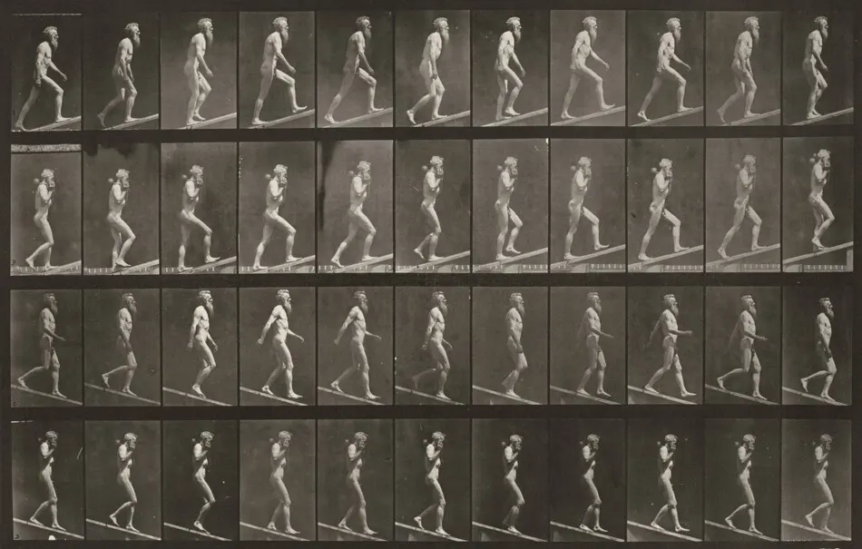 Plate Number 489. A: Ascending incline. B: Ascending incline with a 50-lb. dumbbell. C: Descending incline. D: Descending incline with a 50-lb. dumbbell by Eadweard Muybridge