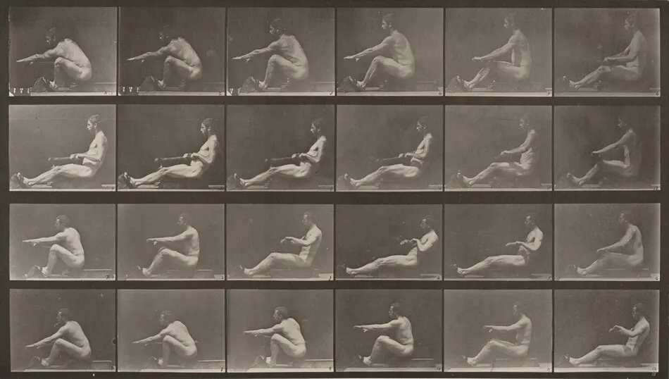 Plate Number 492. Rowing by Eadweard Muybridge