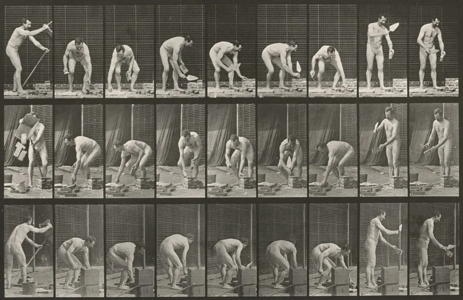 Plate Number 505. Bricklaying by Eadweard Muybridge