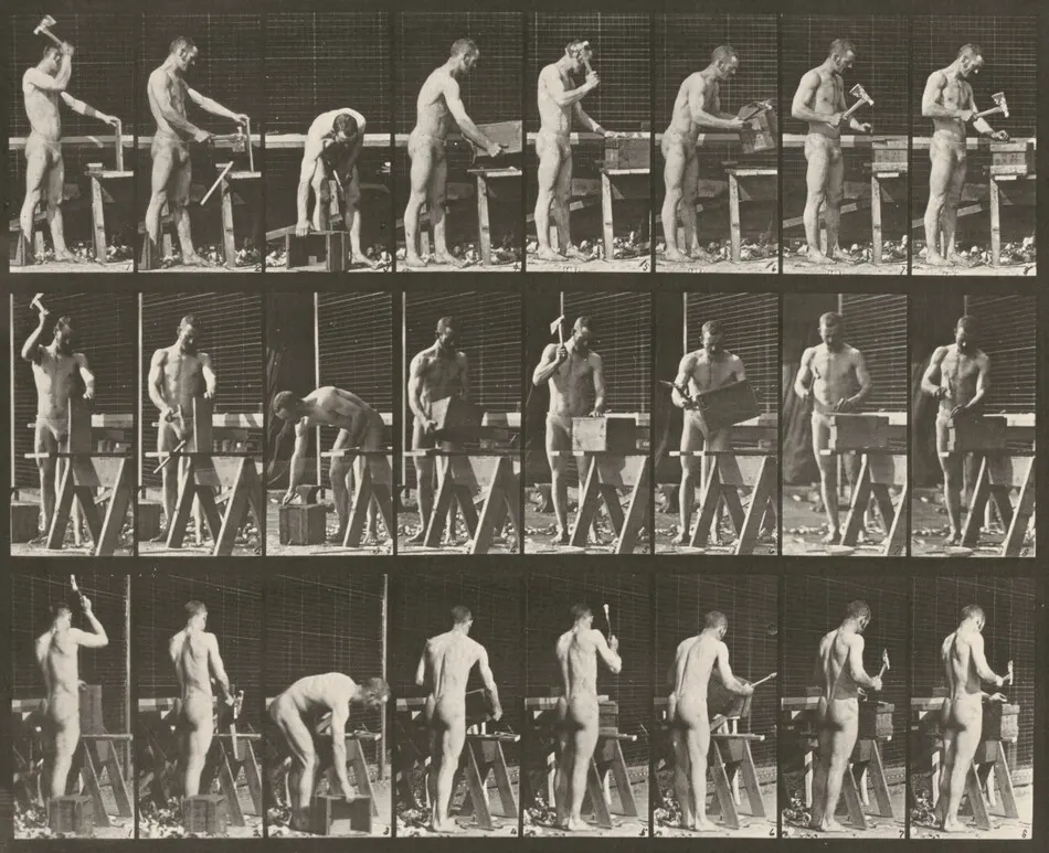 Plate Number 507. Carpentering by Eadweard Muybridge