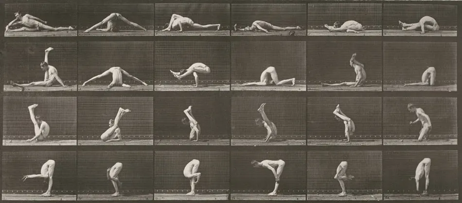 Plate Number 510. Contortions on the ground by Eadweard Muybridge