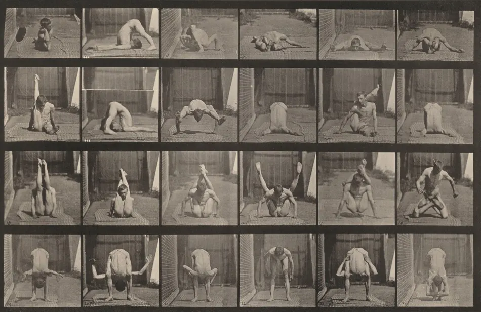 Plate Number 511. Contortions on the ground by Eadweard Muybridge