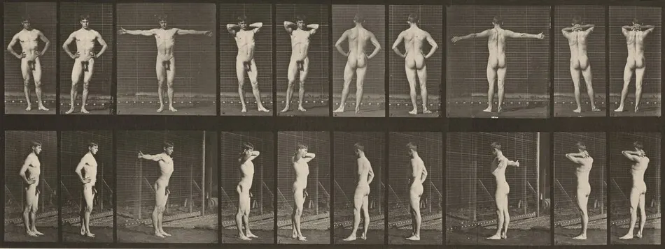 Plate Number 529. Various poses by Eadweard Muybridge