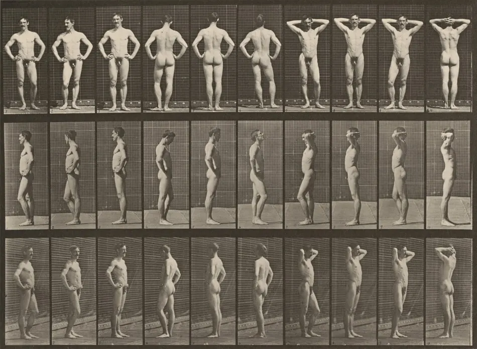 Plate Number 530. Various poses by Eadweard Muybridge