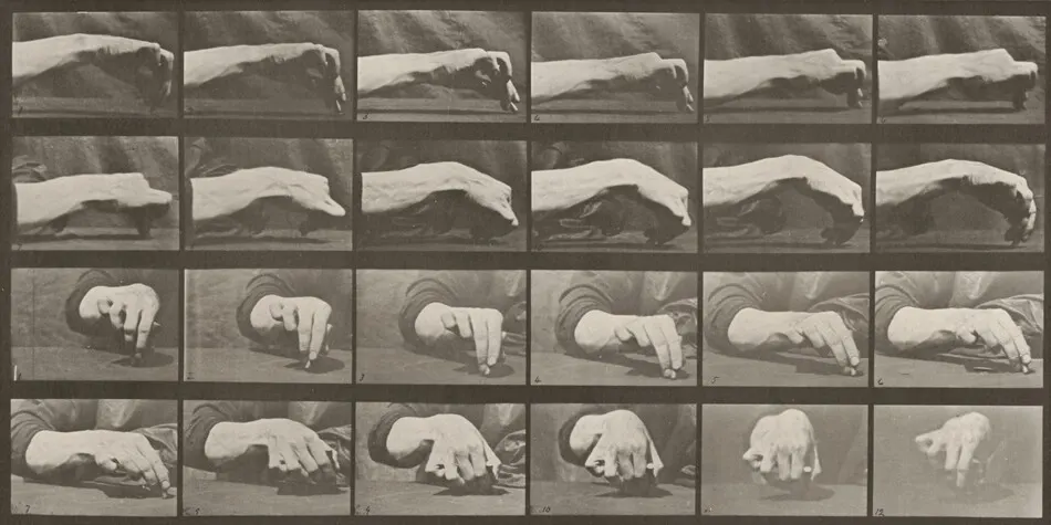 Plate Number 532. Movement of the hand, drawing a circle by Eadweard Muybridge