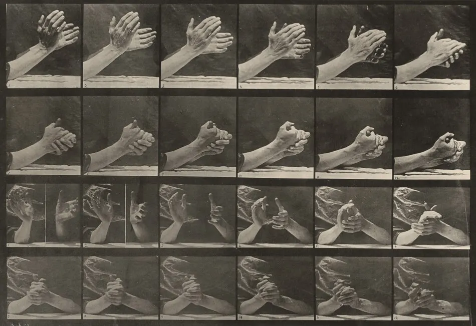 Plate Number 533. Movement of the hand, clasping hands by Eadweard Muybridge