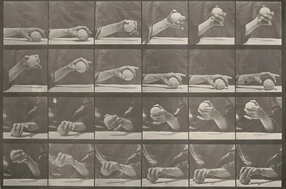 Plate Number 534. Movement of the hand, lifting a ball by Eadweard Muybridge