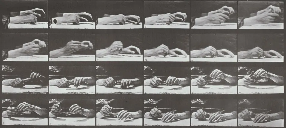 Plate Number 536. Movement of the hand, hand changing pencil by Eadweard Muybridge