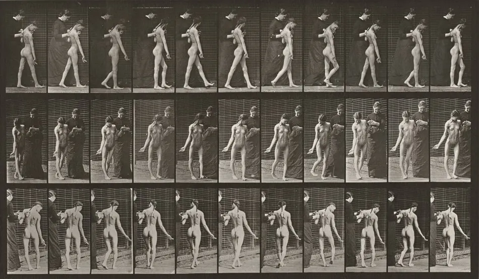 Plate Number 541. Spastic walking by Eadweard Muybridge