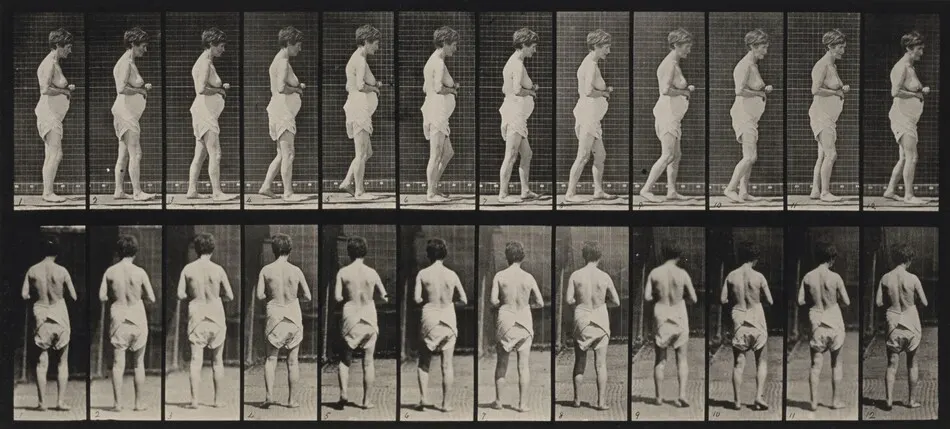 Plate Number 542. Spastic walking by Eadweard Muybridge