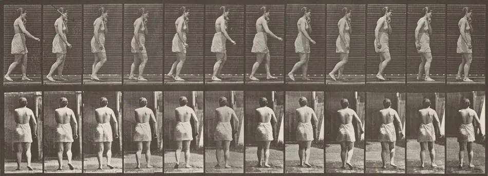 Plate Number 543. Spastic walking by Eadweard Muybridge
