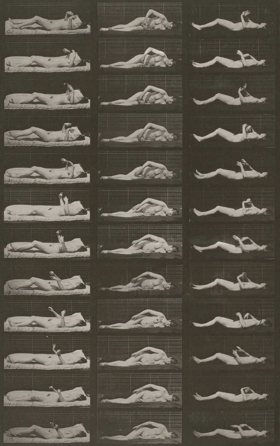 Plate Number 544. Artificially induced convulsions, lying down by Eadweard Muybridge